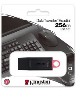 Kingston DTX/256GB USB 3.2 Data Traveller DTX